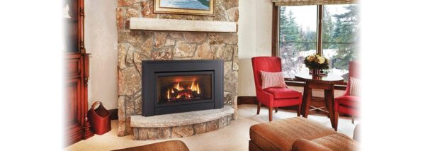 Regency - Energy E33  Gas Insert