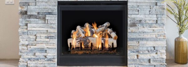 Regency -  GL24V  Gas Log Set