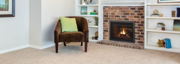 Regency - Liberty - LRI3E  Gas Insert