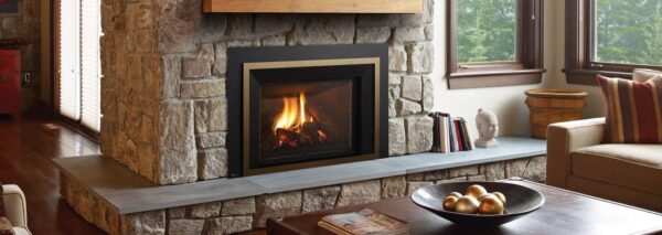 Regency - Liberty - LRI6E  Gas Insert