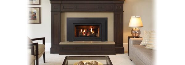 Regency - Energy U31  Gas Insert